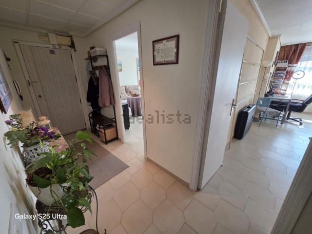 Piso en venta en el Vinalopó Mitjà / El Vinalopó Medio, Valencia
