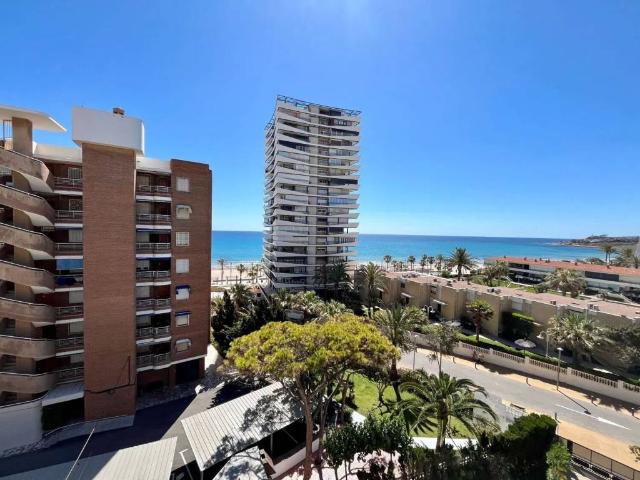Piso en alquiler en Alicante