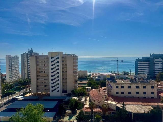 Piso en alquiler en Alicante