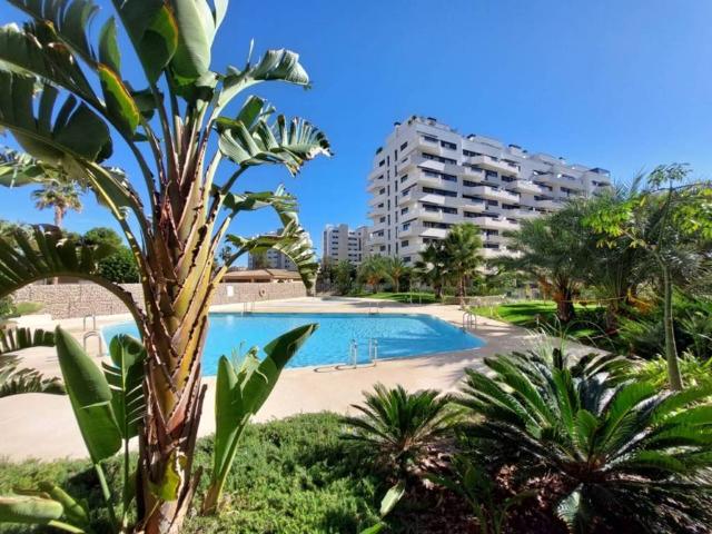 Piso en alquiler en Alicante