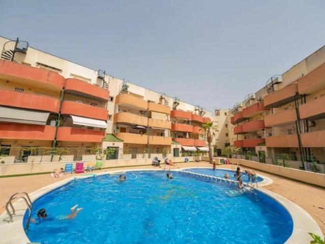 Piso en alquiler en Centro, Almoradí