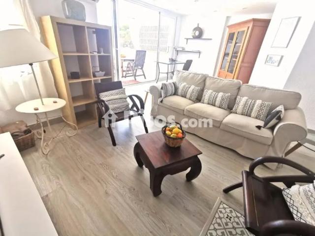 Apartamento en alquiler en Centre Històric, l'Alacantí