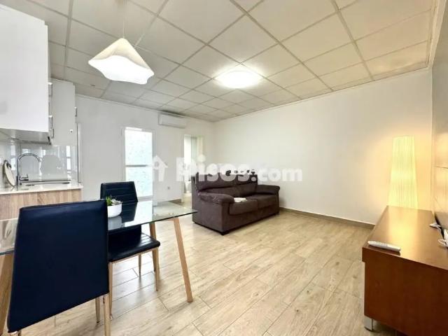 Apartamento en alquiler en Centre Històric, l'Alacantí