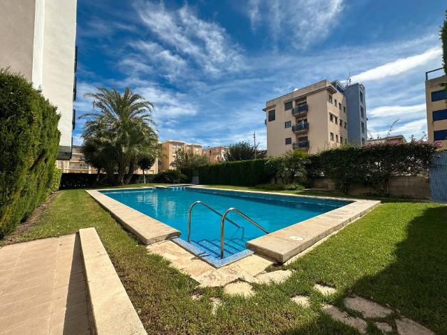 Piso en alquiler en Guardamar De La Safor, Platja de Guardamar de la Safor