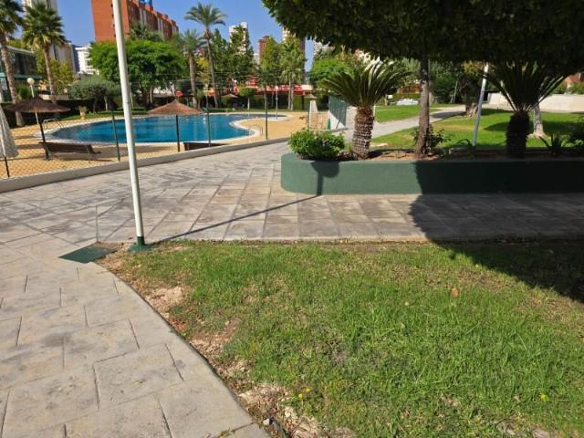 Piso en alquiler en Benidorm, Llevant Piso en alquiler en Benidorm, Llevant