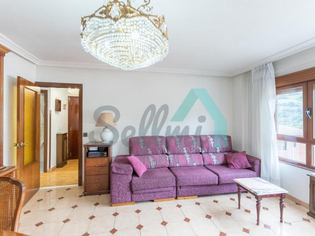 Apartamento en alquiler en Morea / Moreda, Aller