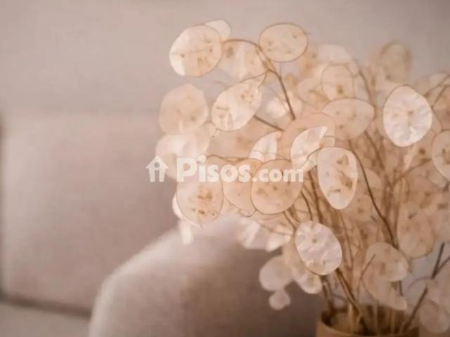 Apartamento en alquiler en Castelló de la Plana / Castellón de la Plana, Castelló / Castellón