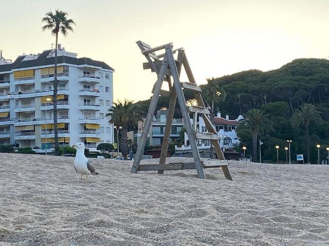 Piso en alquiler en Lloret De Mar