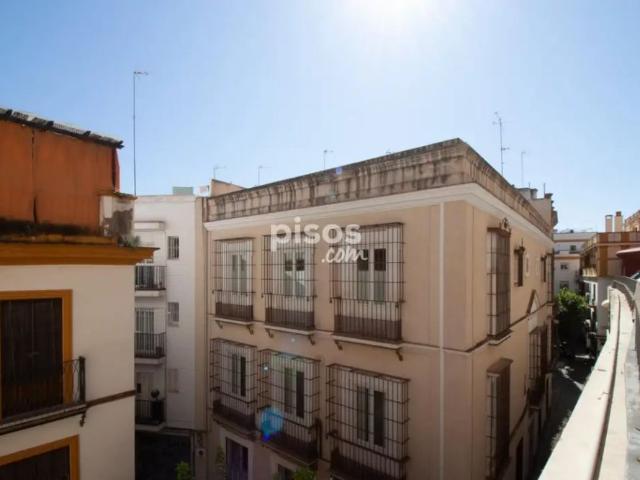 Apartamento en alquiler en Casco Antiguo, Sevilla