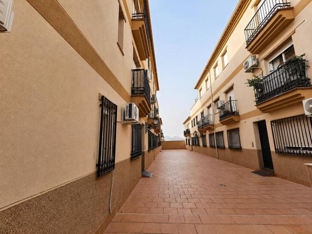 Piso en alquiler en Comarca de la Vega de Granada, Andalucía