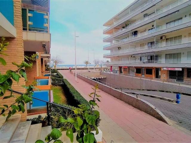 Piso en alquiler en Gandía, Platja de Gandia
