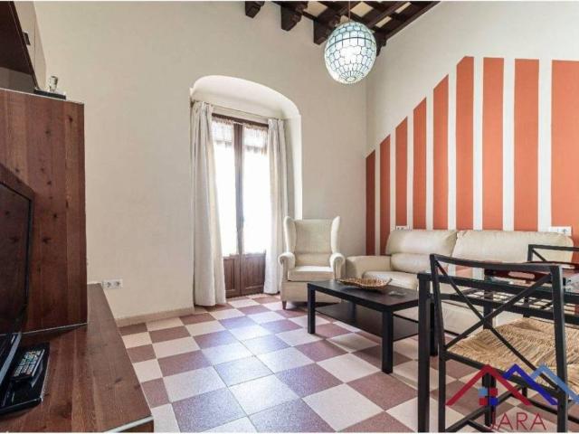 Piso en alquiler en Campiña de Jerez, Andalucía