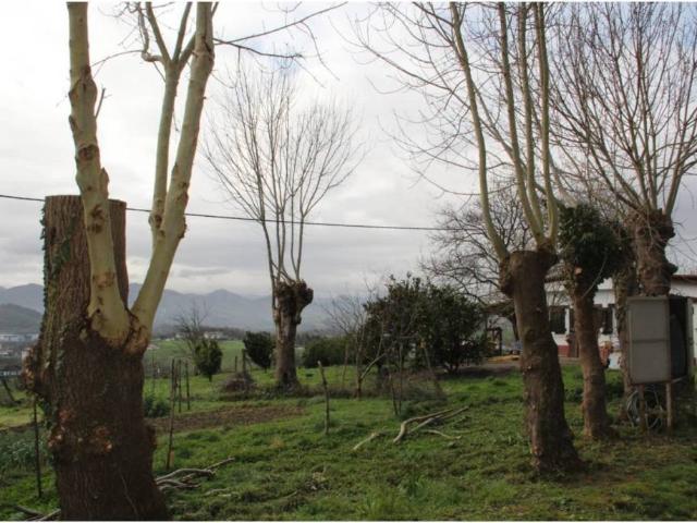 Piso en alquiler en Lezo, Guipúzcoa