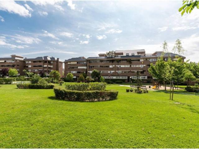 Piso en alquiler en Majadahonda, Madrid