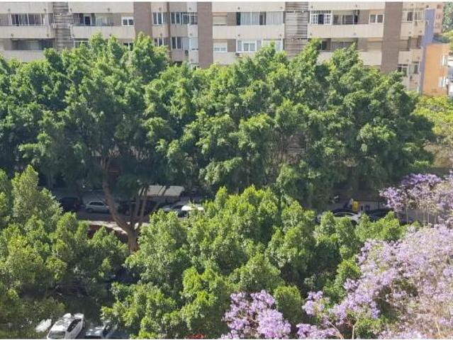 Piso en alquiler en Málaga