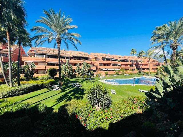 Piso en alquiler en Marbella, Nueva Andalucía