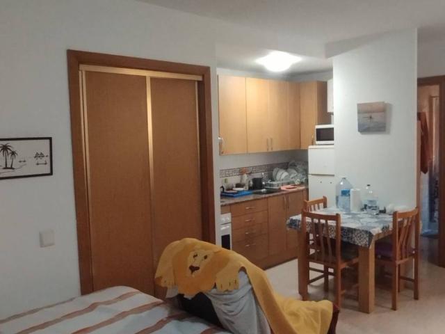 Piso en alquiler en Mont-roig Del Camp, Miami Platja