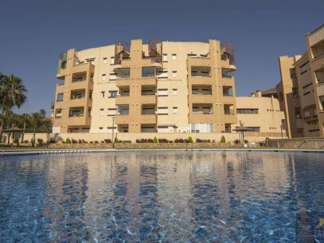 Piso en alquiler en Murcia, La Tercia