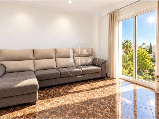 Piso en alquiler en Pla de Mallorca, Baleares