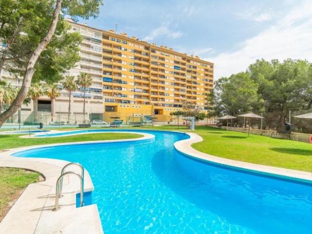 Piso en alquiler en Orihuela