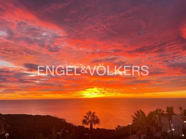 Piso en alquiler en Oropesa Del Mar, Valencia
