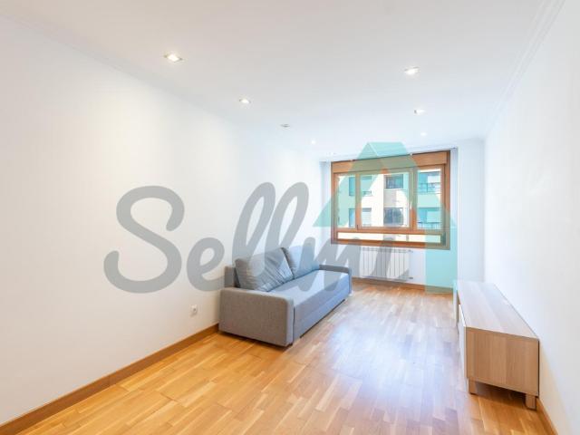 Apartamento en alquiler en Pin de la Quinta, Oviedo