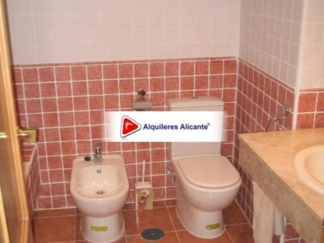 Apartamento en alquiler en Casco Antiguo - Santa Cruz - Ayuntamiento, l'Alacantí