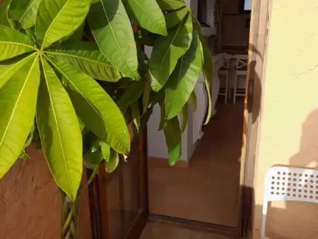 Piso en alquiler en Bahía de Cádiz, Andalucía