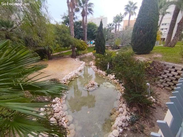 Piso en alquiler en Sant Joan D'alacant, Valencia