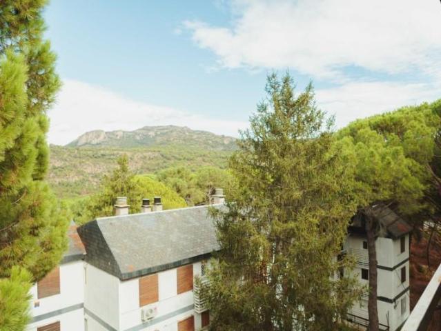 Piso en alquiler en San Martín De Valdeiglesias, Madrid