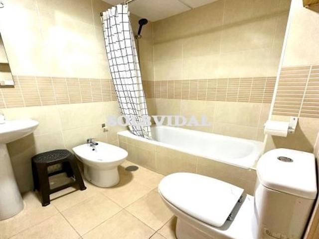 Piso en alquiler en San Vicente Del Raspeig, la Borinquen