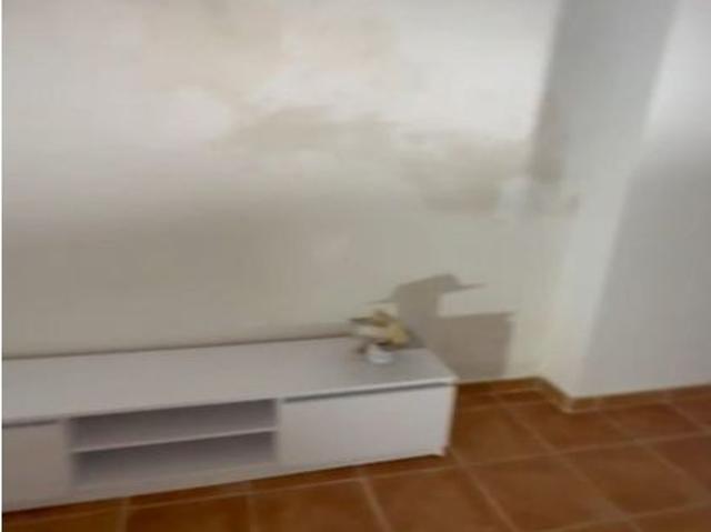 Piso en alquiler en el Baix Maestrat, Valencia