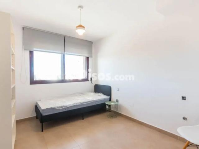 Apartamento en alquiler en Murcia, Área Metropolitana de Murcia