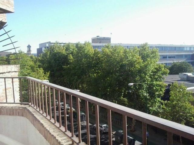 Piso en alquiler en Sevilla, Bellavista-La Palmera