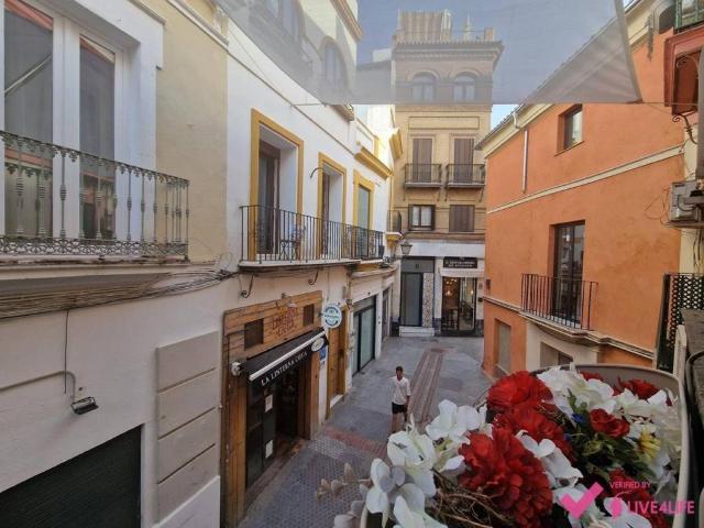 Piso en alquiler en Sevilla, Casco Antiguo