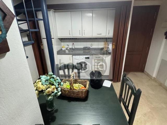 Piso en alquiler en Casco Antiguo, Sevilla