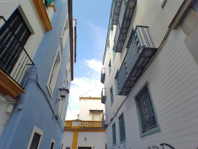 Piso en alquiler en Sevilla, Santa Catalina