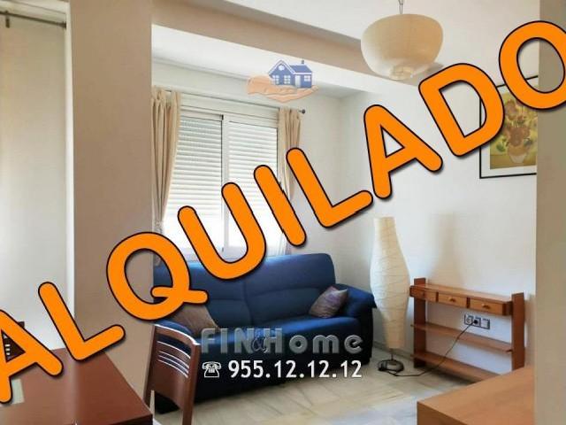 Piso en alquiler en Sevilla, Nucleo Residencial Santa María