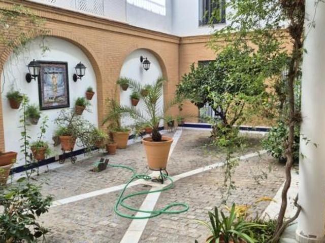 Piso en alquiler en Sevilla, Nucleo Residencial Manuel Arellano Piso en alquiler en Sevilla, Nucleo Residencial Manuel Arellano