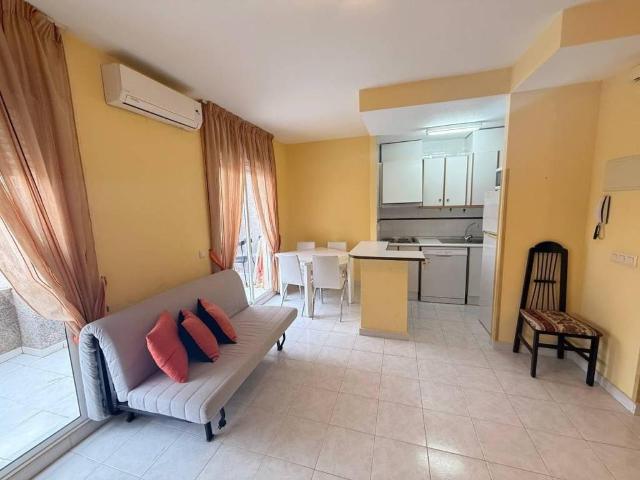 Piso en alquiler en Torrevieja, Alicante