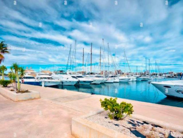 Piso en alquiler en Torrevieja, Valencia