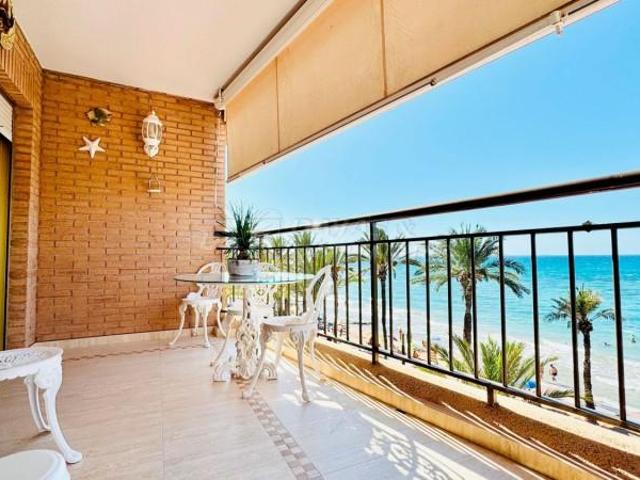 Piso en alquiler en Torrevieja, Valencia