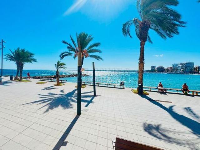 Piso en alquiler en Torrevieja, Valencia