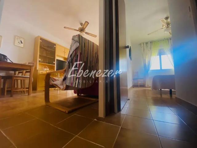 Apartamento en alquiler en Murcia, Área Metropolitana de Murcia