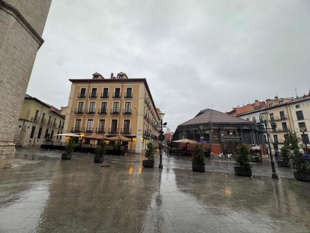 Piso en alquiler en Plaza Mayor, Valladolid