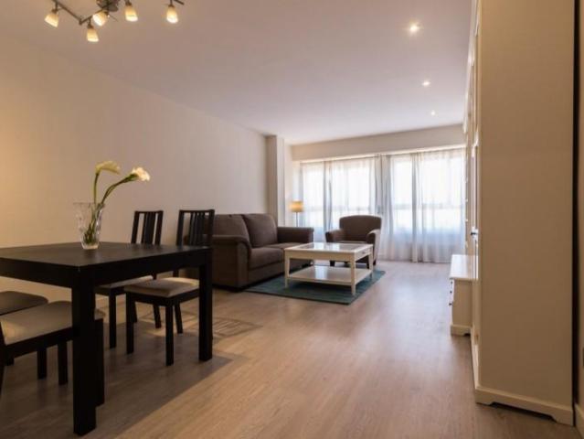 Piso en alquiler en Plaza Mayor, Valladolid