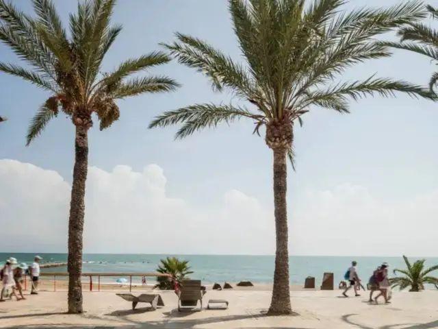 Apartamento en alquiler en la Plana Alta, Valencia
