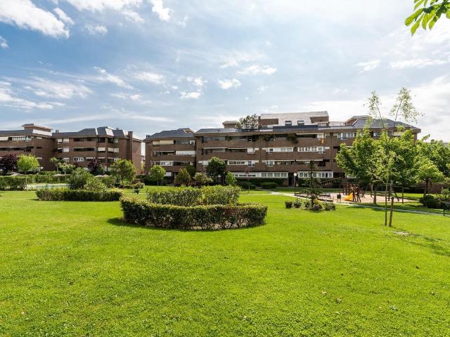 Piso en alquiler en Majadahonda, Madrid