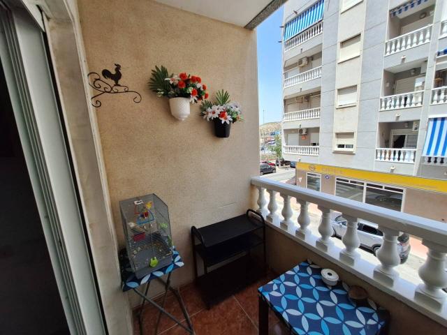 Piso en alquiler en Guardamar Del Segura, Urbanització Pinar de Guardamar