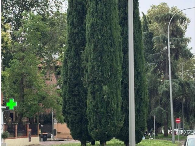 Piso en venta en Madrid, Costillares